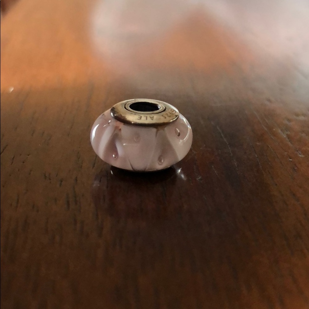 Pandora Charm!